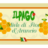 Il Pago Carta