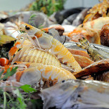 Lupo Di Mare Boisson