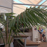 Pepper Jam Spirits Kitchen (fronte Spiaggia) Bebida