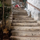 Crotto Delle Camelie Dentro