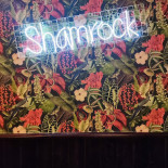 Shamrock Carte