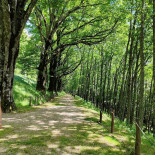 Granduca Di Campigna Mountain Wellness Apartments Extérieur