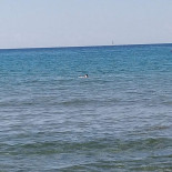 Bazzano Beach Exterior