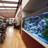 Nippon Ramen À l'intérieur