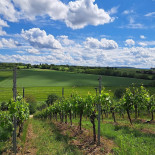 Tenuta Lacava Außen