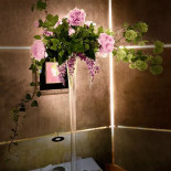 Stracco À l'intérieur
