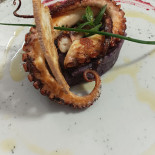 Coccobrillo Comida