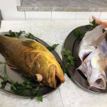 Luigino Fuscaldo Essen