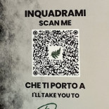 Pucini Carte