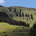 Le Rocher Fleuri Außen