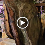 Pata Negra La Prosciutteria Getränk
