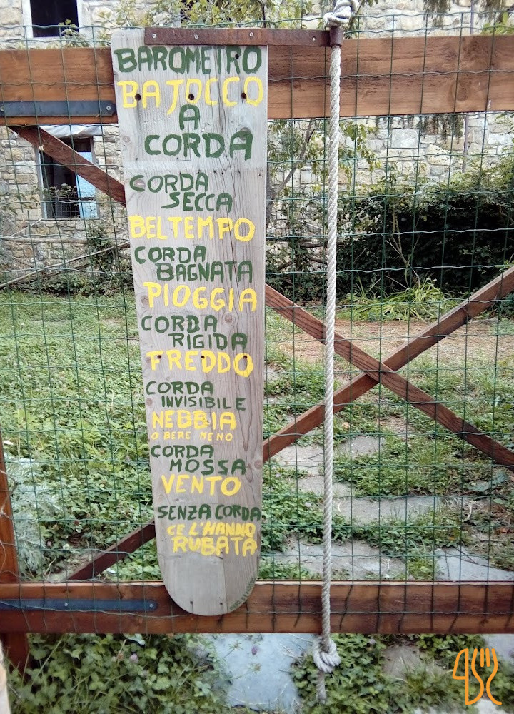 Jolanda Carte