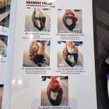 Sushi Mia Carte
