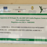 Agriturismo Pingitore Carta