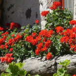 Le Caore E B&b Exterior