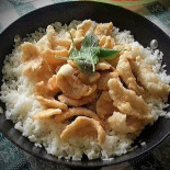 Seta Essen