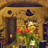 L'erba Gatta Exterior