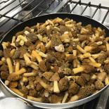 Ciori Essen