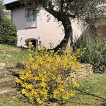 Altrocanto Exterior
