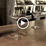Vinosofia Bebida