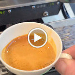 Bolla Café Comida