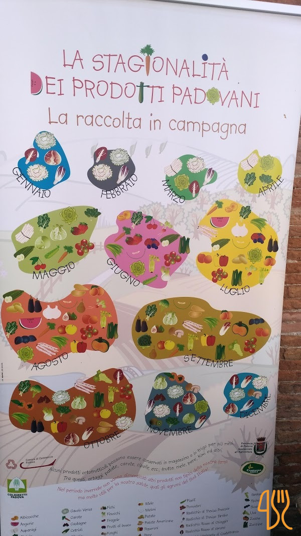 Cogoma E Panaro Carte