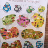 Cogoma E Panaro Carte