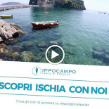 Ippocampo Extérieur