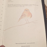 Ymeletrob Carte
