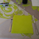 Gabii Carte