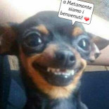 Metámonte Speisekarte