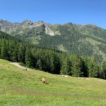 Latscher Alm Extérieur