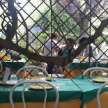 Trattoria Zanichelli Nourriture