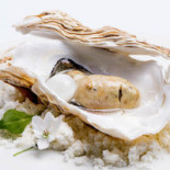 Andreina food