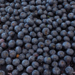 La Bottega Panificio Morbegno Nourriture