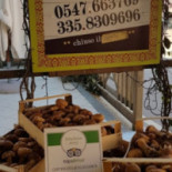Tri Pataca Exterior