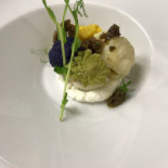 Avverso Food