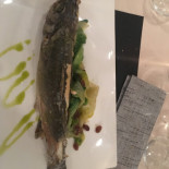 Coho25 Innen