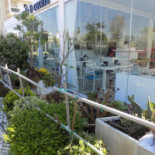 Caffe Mattei Nourriture