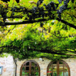 La Casina Extérieur