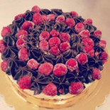 Coco Food