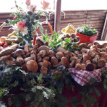 Cittubai À l'intérieur