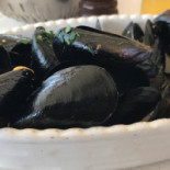 Galeassi Cibo