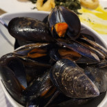 A Tutto Pesce