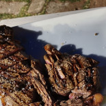 Il Conte Matto Comida