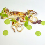 D'amore Comida