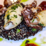 049 Osteria Cibo