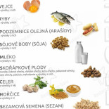 Pyšelka food