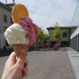 Ippococcolo Nourriture