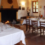 Ai Due Taxodi Nourriture